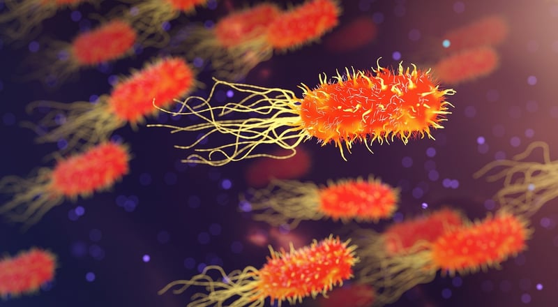 Biological Frontiers
